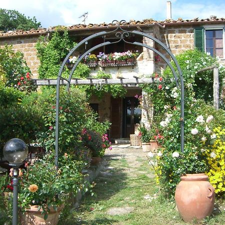 Le Querciolaie Monte Cavallo - Lower Apartment Saturnia Exterior photo