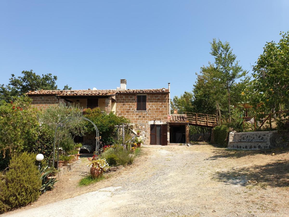 Le Querciolaie Monte Cavallo - Lower Apartment Saturnia Exterior photo